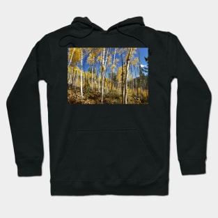 Golden Aspen Grove Hoodie